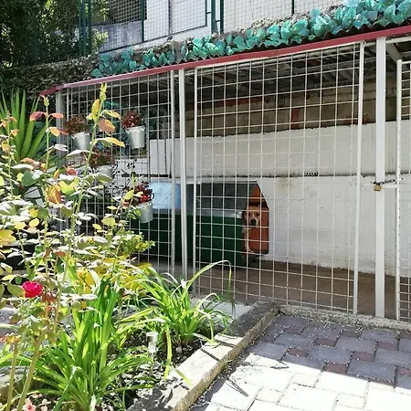 公寓 Barney With Garden&terrace *